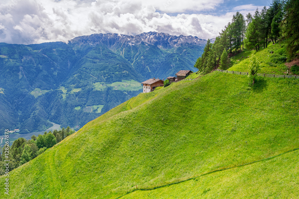 Fototapeta premium Vinschgau