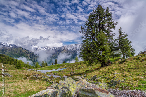 Klosteralm photo