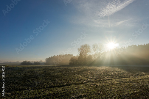 Fototapeta Panoramic view of morning sun over field
