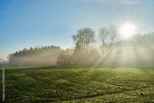 Fototapeta Landscape with sun rays through fog