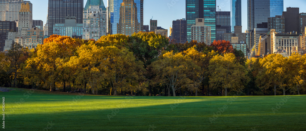Fototapeta premium Panoramic view of Central Park Sheep Meadow in morning light with full Autumn colors. Midtown Manhattan skyscrapers, New York City