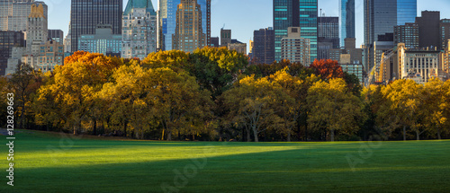 Panoramic view of Central Park Sheep Meadow in morning light with full Autumn colors. Midtown Manhattan skyscrapers, New York City