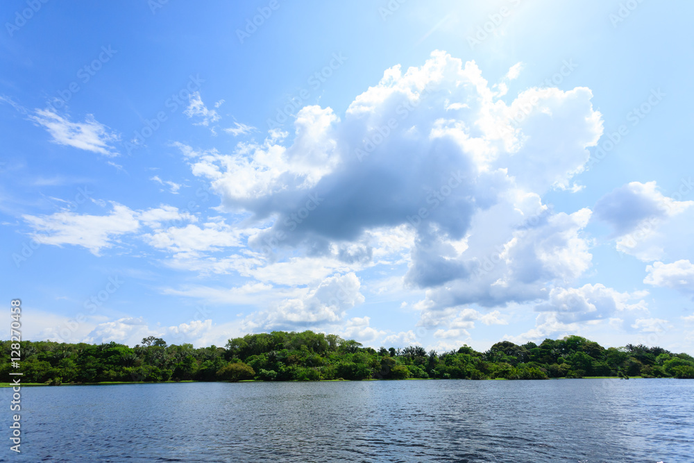 Panorama from Amazon rainforest, Brazilian wetland region.