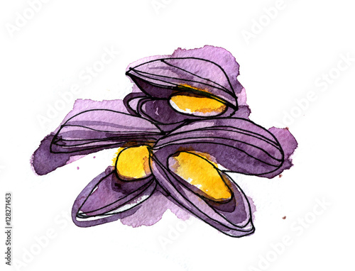 Hand drawn watercolor ingredient mussel in sketch style on
