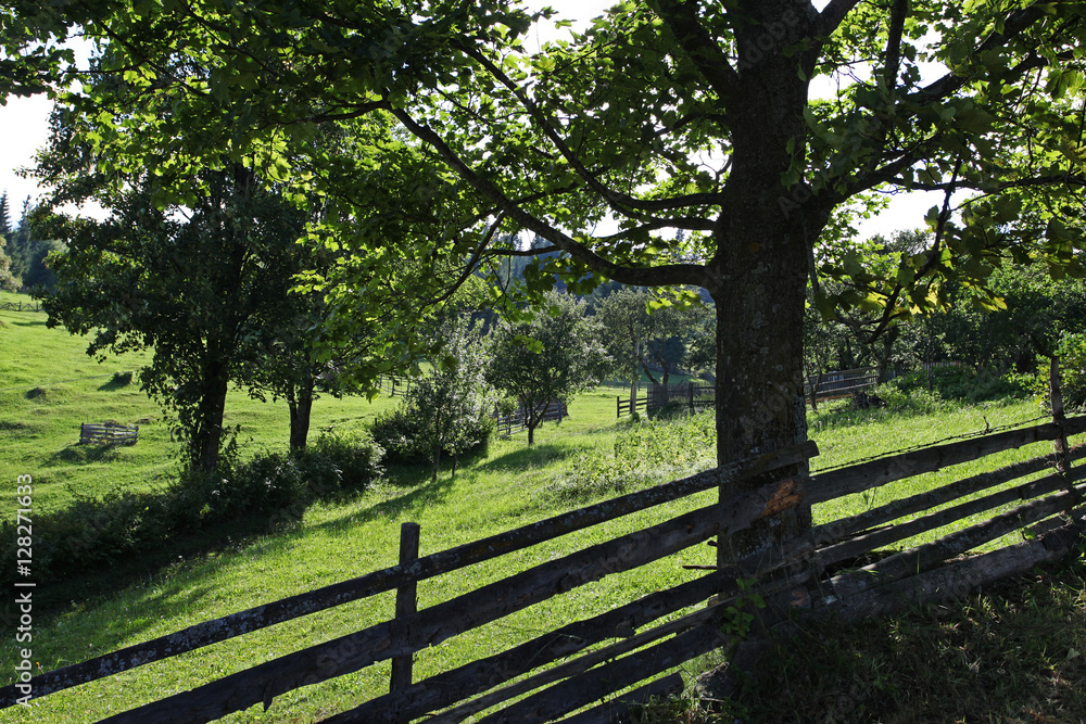Fototapeta premium Countryside life landscape with wood fence