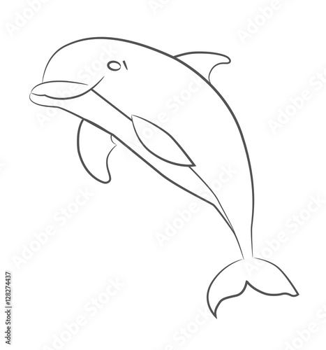 Dolphin art