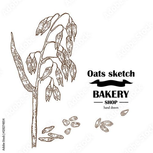 Hand drawn oats. Bakery vector illustration