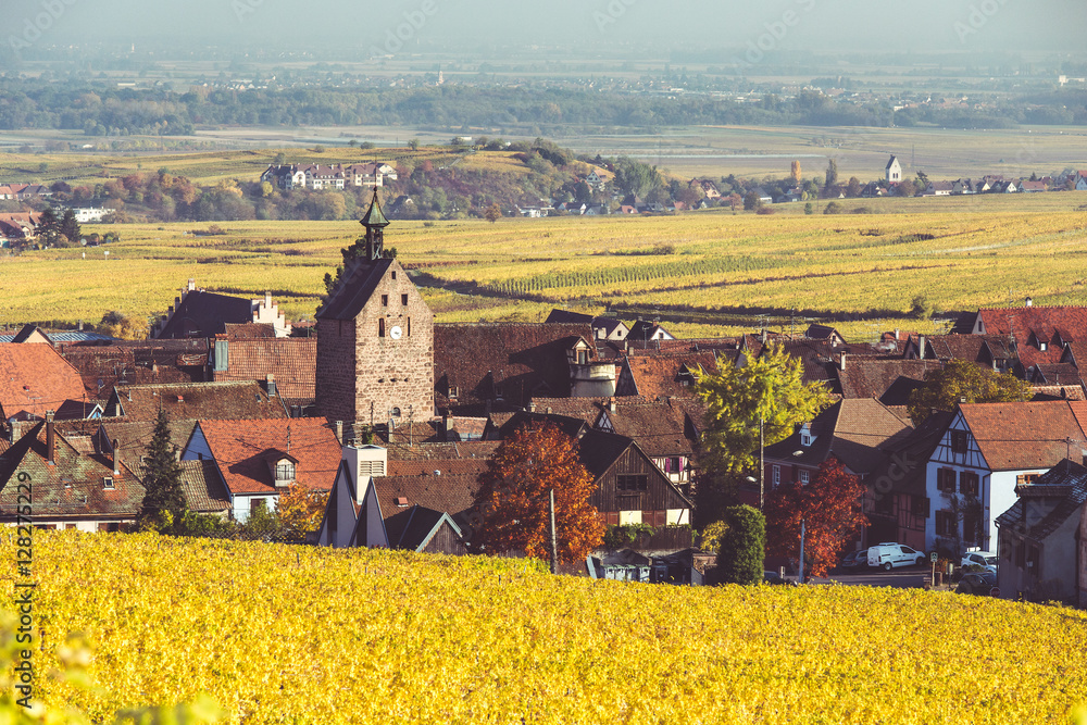 Picturesque autumn landscape with vineyards and historic village of Riquewihr, Alsace, France. Famous place, making part of the vine routes.