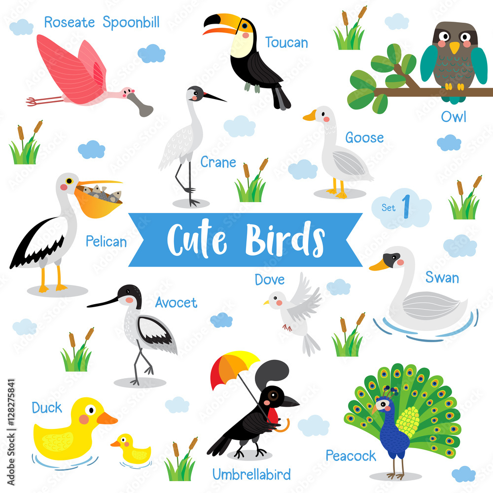 Cute Birds Animal cartoon on white background with animal name. Duck. Dove. Peacock. Swan. Owl. Goose. Toucan. Crane. Pelican. Umbrellabird. Roseate Spoonbill. Avocet. Vector illustration. Set 1. Stock Vector | Adobe Stock Cute Birds Animal cartoon on white background with animal name. Duck. Dove. Peacock. Swan. Owl. Goose. Toucan. Crane. Pelican. Umbrellabird. Roseate Spoonbill. Avocet. Vector illustration. Set 1. Stock Vector | Adobe Stock