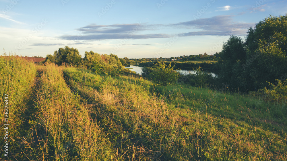 Fototapeta premium Sunny summer landscape