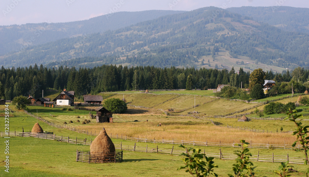 Rural landscape in Bucovina village, Romania
