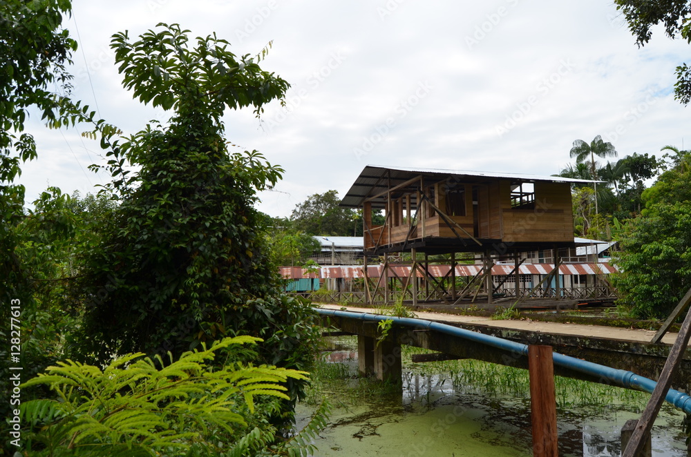 Obraz premium Puerto Nariño Amazonas