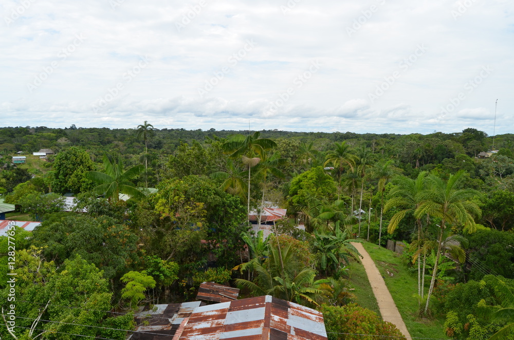 Puerto Nariño Amazonas