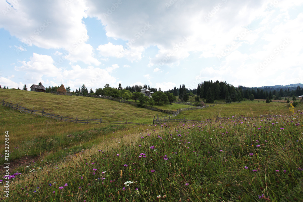 Rural meadow in Bucovina village, Romania