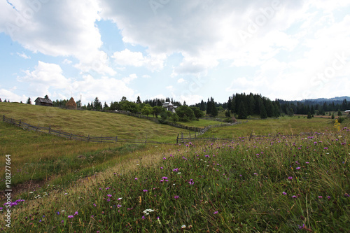 Obraz na płótnie Rural meadow in Bucovina village, Romania w salonie