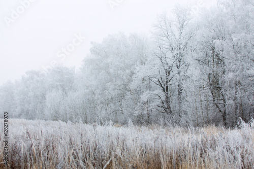 Winter road in the village. Fog and frost