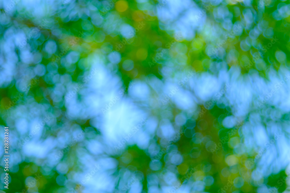 Nature green leaf bokeh background with sun light. Nature green leaf bokeh background with sun light.