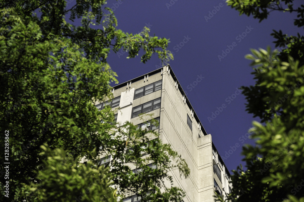 Building behind trees Building behind trees