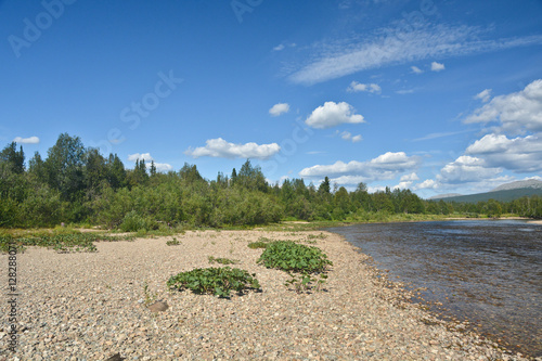 Summer river landscape in the Northern national Park. photo