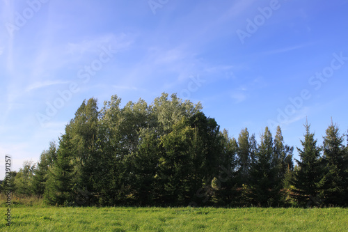 Summer landscape in Latvia