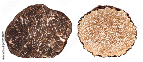 
Winter and summer black truffle cross section difference

