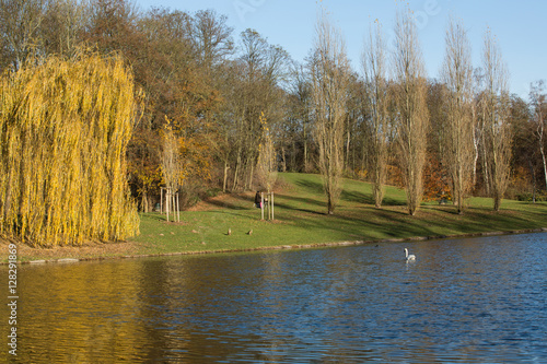 Kölner Stadtwald, Kalscheurer Weiher, Deutschland, Herbst; Cologne city forest, pond, germany, autumn