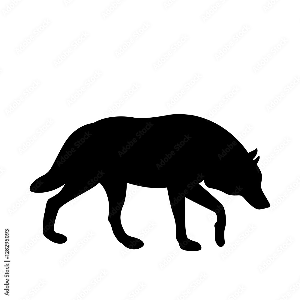 wolf vector illustration black silhouette wolf vector illustration black silhouette