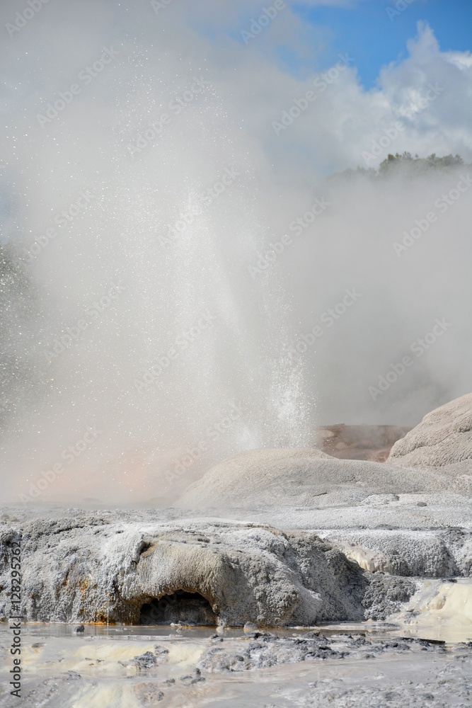 Prince of Wales Feathers geyser in Te Puia therrmal reserve in Rotorua, New Zealand. 