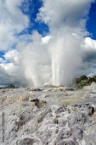 The famous Pohutu geyser in Rotorua, New Zealand.