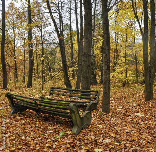 Running autumn Park in October.