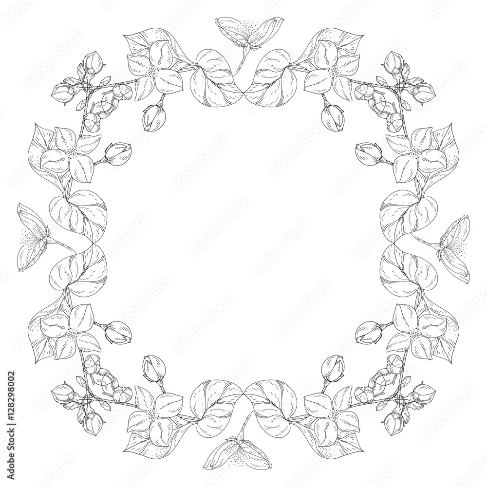 Plant in blossom, branch with flower ink sketch on white background Plant in blossom, branch with flower ink sketch on white background