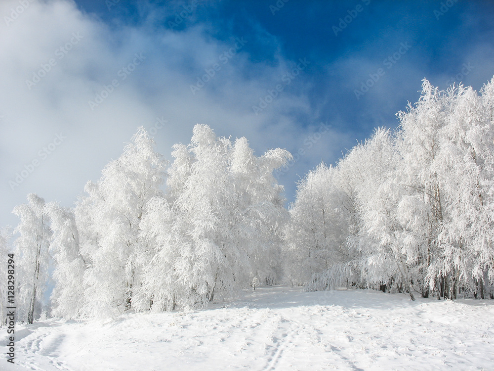 Beautiful ski slope in winter, landscape in Sirnea - Fundata village of Romania