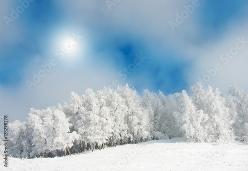 Beautiful winter ski slope among the forest in Sirnea village of Romania, Fundata region photo