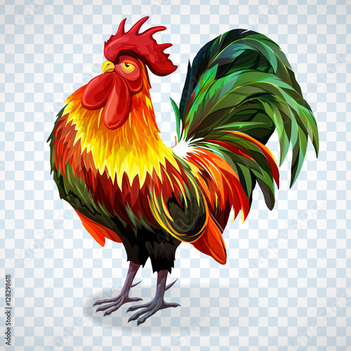 Fire Rooster illustration. Chinese calendar symbol of 2017 year. Hand drawn cock. Vector - stock