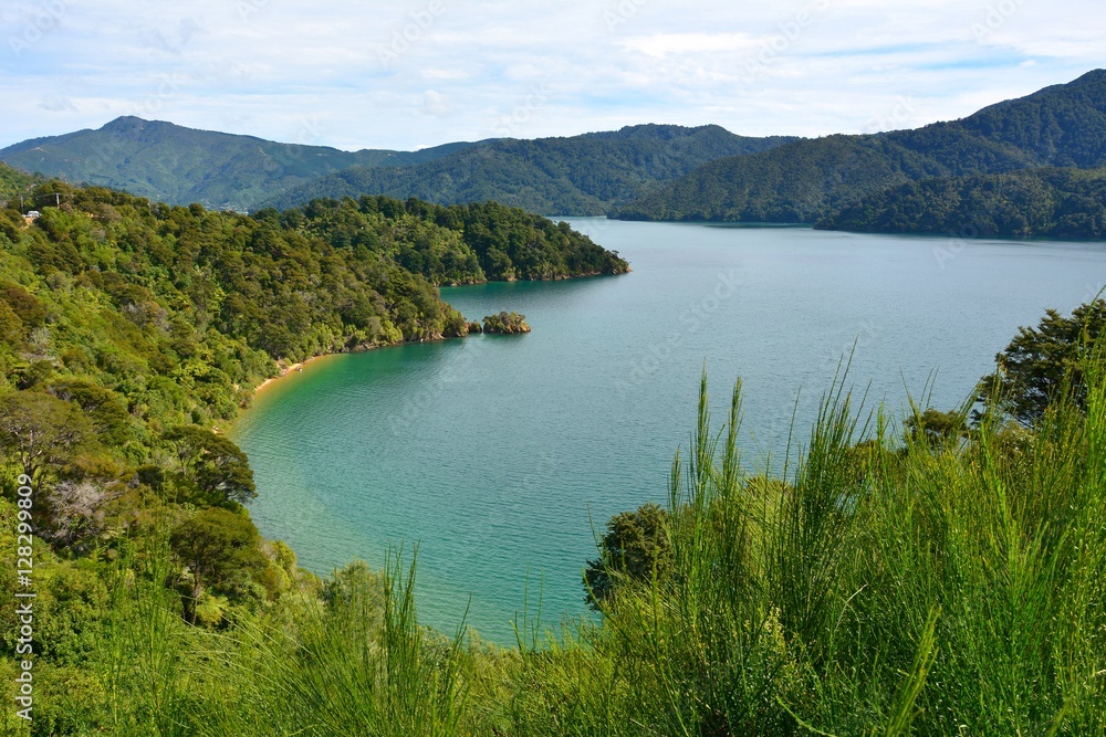 Naklejka premium Coastal scenery in Marlborough Sounds, New Zealand.
