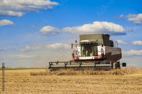 Combine harvester working on the harvest in a field