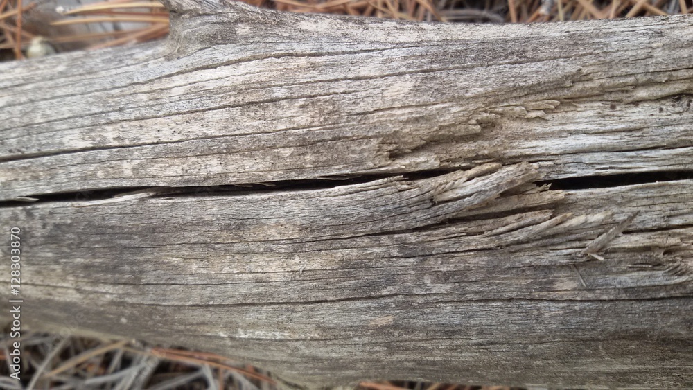 Obraz premium Textura de madera