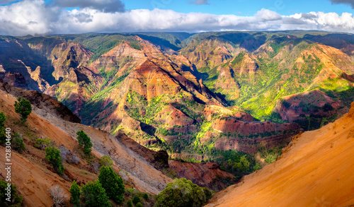 Panoramic landscape view of Waimea Canyon in Kauai, Maui