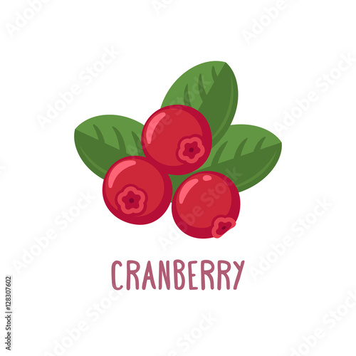 Vector cranberry icon