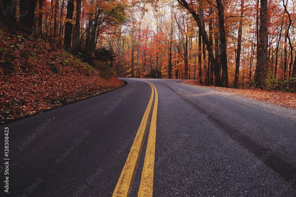 Fototapeta premium Double Yellow Line