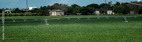 Watering Plants