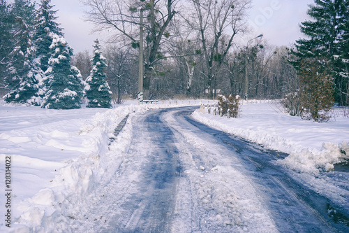 Road through park on winter day