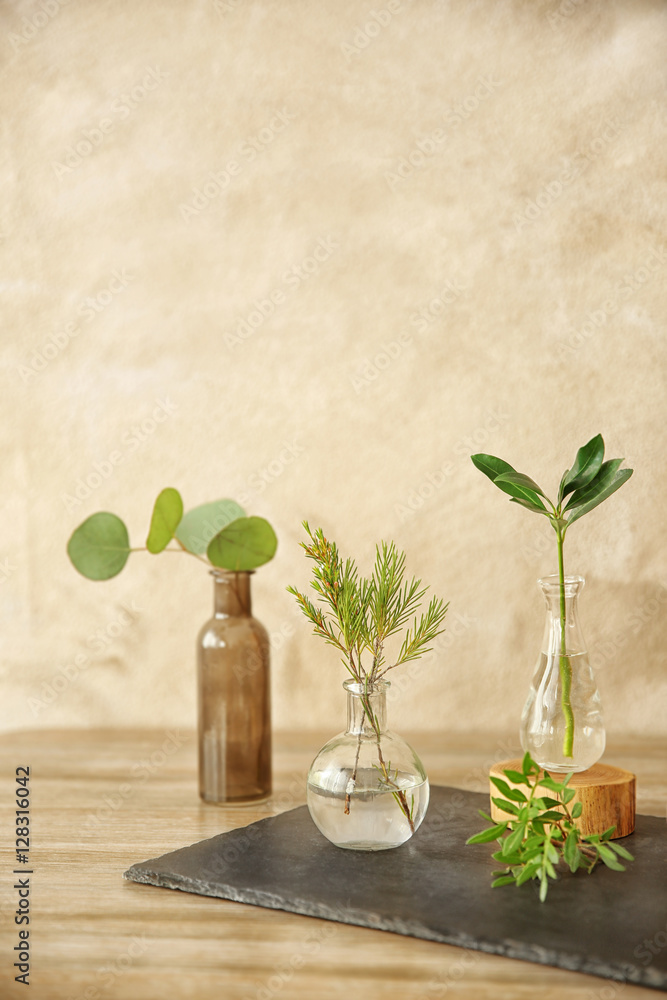 Plants in different glass vases on table in the room Plants in different glass vases on table in the room