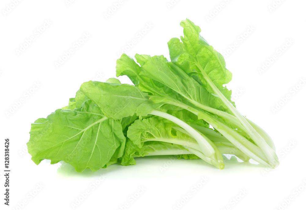 lettuce leaves isolated on white background lettuce leaves isolated on white background
