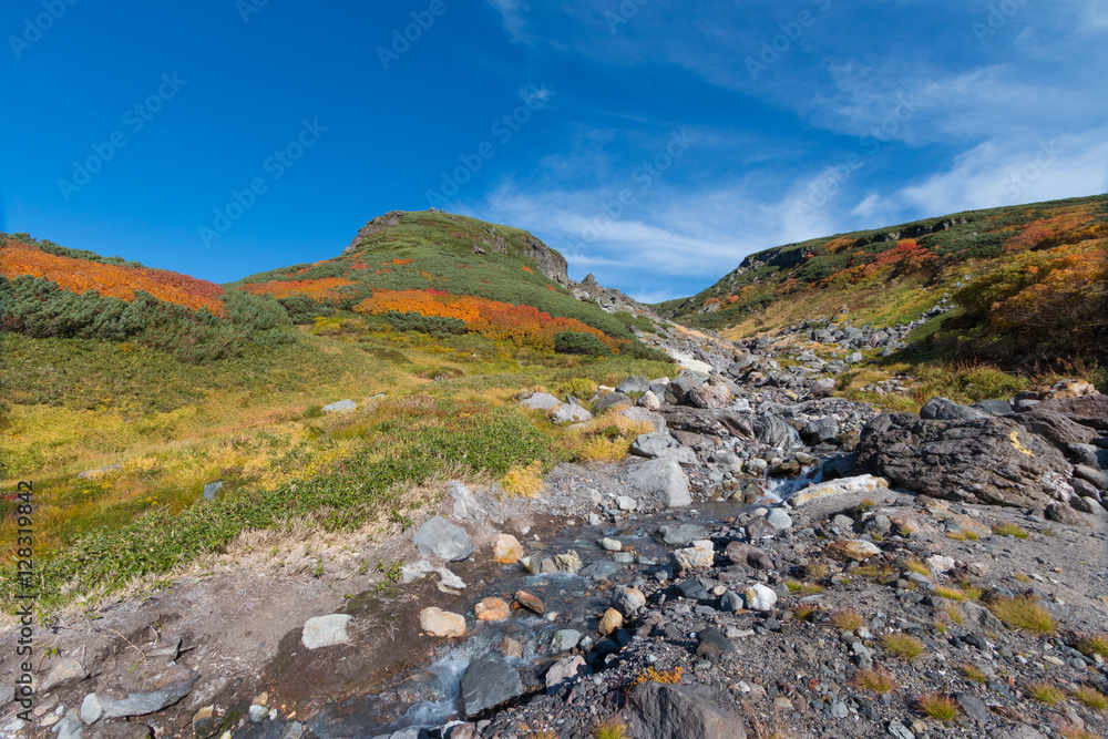 Mountain stream through harsh landscape in autumn colors, Daisetsuzan, Hokkaido, Japan
