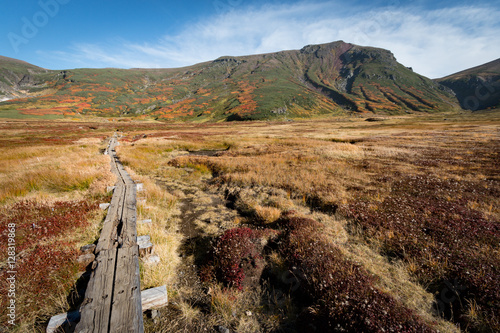 Wooden hiking trail through grasslands landscape in autumn color, Daisetsuzan, Hokkaido, Japan © Perry Svensson