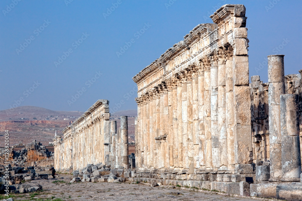 Apamea street columns Syria