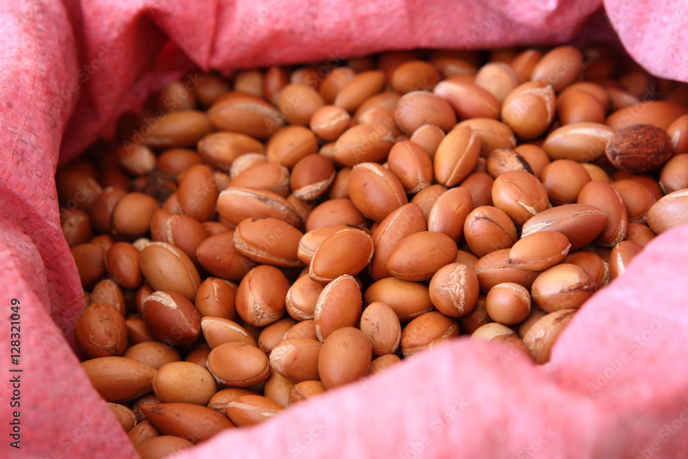 Making of Argan oil in Morocco Making of Argan oil in Morocco