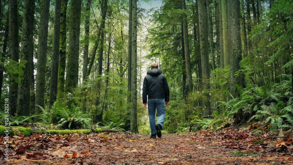 Man Walks On Path Through The Forest Man Walks On Path Through The Forest