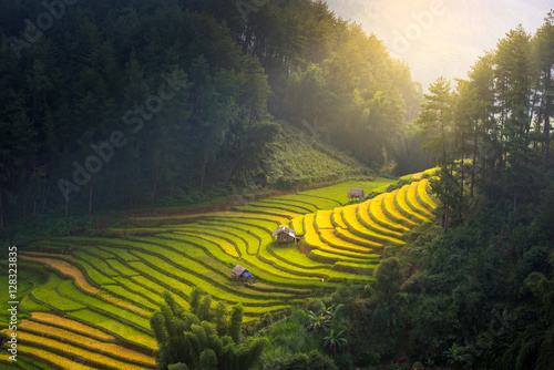 Sunrise and Beautiful nature rice fields on terraced of Vietnam. Rice fields prepare the harvest at Northwest Vietnam.Vietnam landscapes.